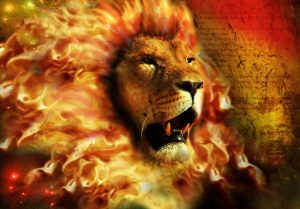 fire_lion_by_alex_barrera