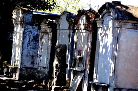 1922362_10201558996516806_1379901703_n