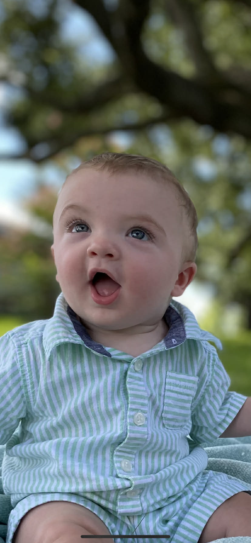 The Anchoring Hope of&nbsp;Heaven